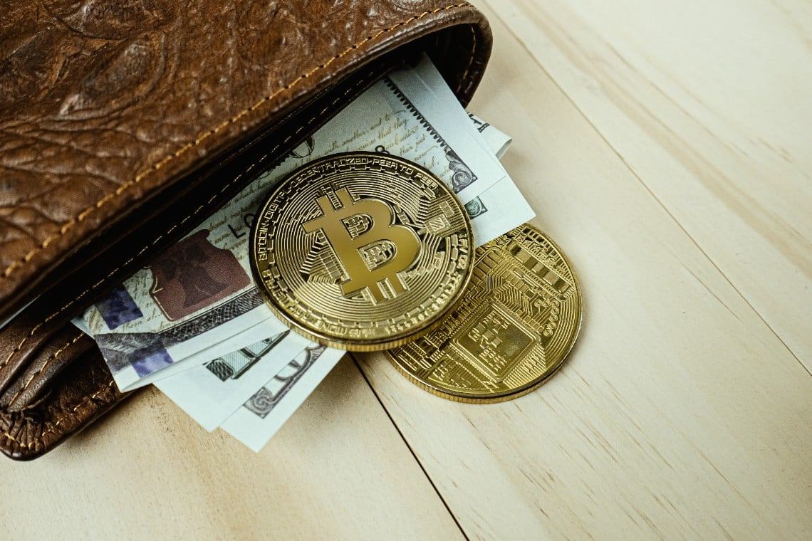 Professional Solutions for Digital Wallet Management